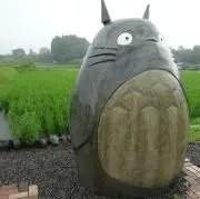 NAMA