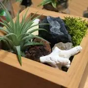 けいけいママ