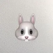 うさぎ♡複数購入割引しますの画像
