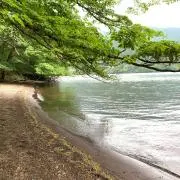 Aoiの画像