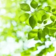 名無し