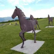 リバティの画像