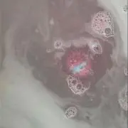 あいの画像