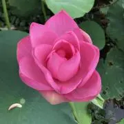 2525の画像