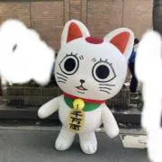 ハイキューブルロちいかわ今月末処分予定の画像