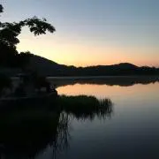 ビーフストロガノフの画像