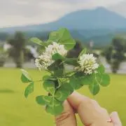 はちみつの画像