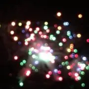 たくみの画像