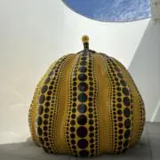 らんの画像