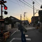 緑茶の画像