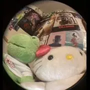 たぬたぬの画像