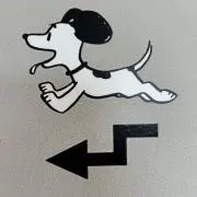 まめの画像
