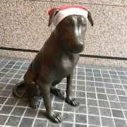うりの画像