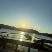 かめの画像