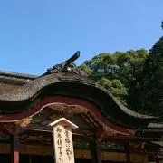 ひんちゃんの画像