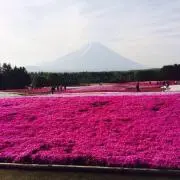RIRItamaの画像