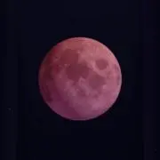 pink moonの画像