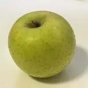 Rayos