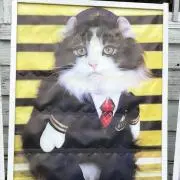ちぃ
