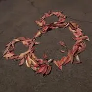 みさきの画像