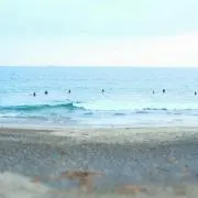 やや