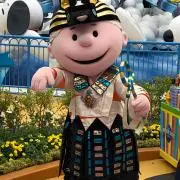 かぼちゃ＊プロフィール必読＊の画像