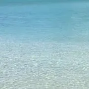Ami ❤︎の画像