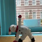 ちゃんりの画像