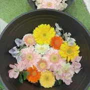 Ray*プロフィールをご覧くださいの画像