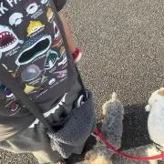 あいうえお《即購入OK》の画像