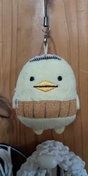 たなちゃんの画像