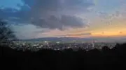 ちゃんかぼの画像