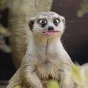 こんにちわ