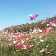 ねんねん