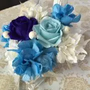 メイモンズの画像