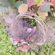 cocorynaの画像