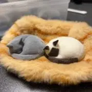 re.eto れぇとの画像