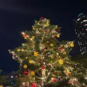 kouの画像