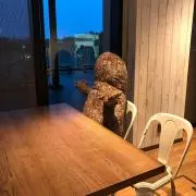 ハトマル