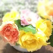 しいたけ