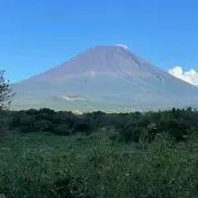 Mnbの画像