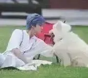 かりんの画像