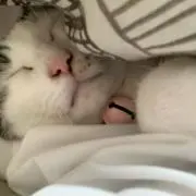 まちおの画像