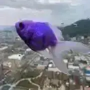 リョウの画像