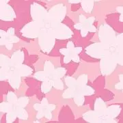 ドド