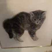 みっくんの画像