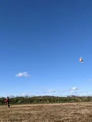 ホッシー  プロフ確認下さい