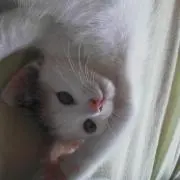 kkk.57の画像