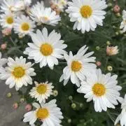 minの画像