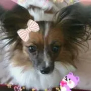 とわちゃん